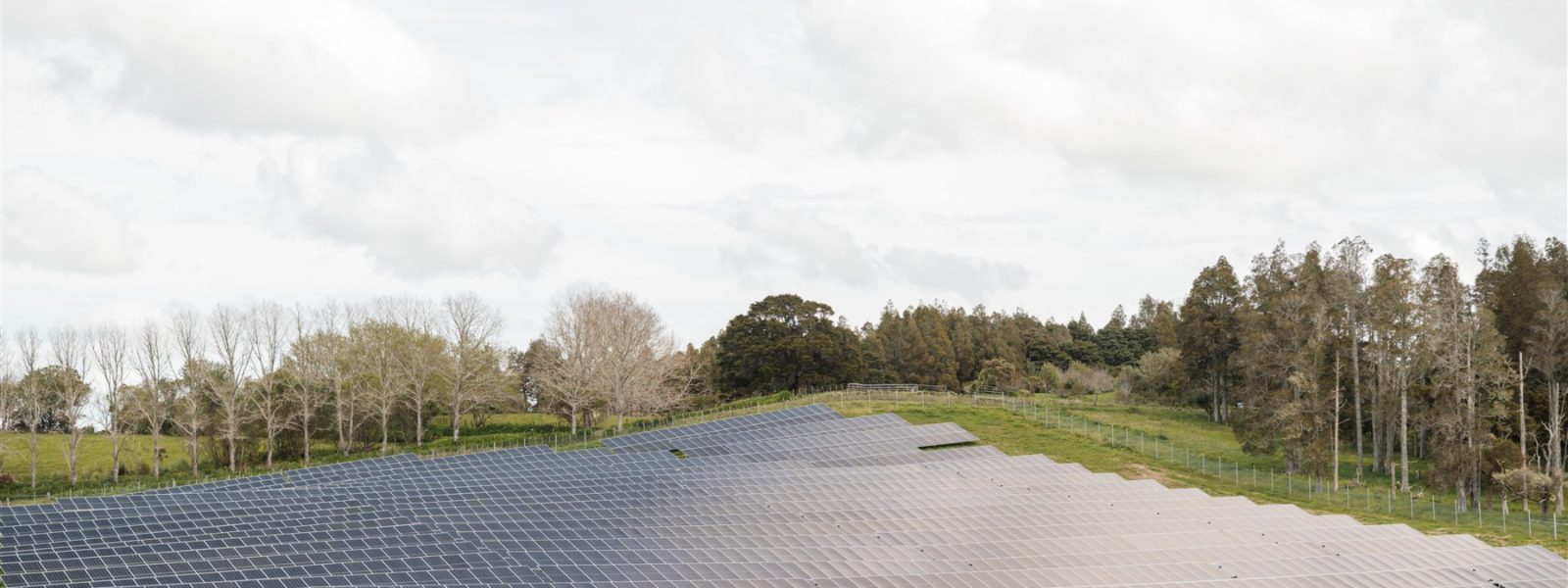 Energy - Header Image